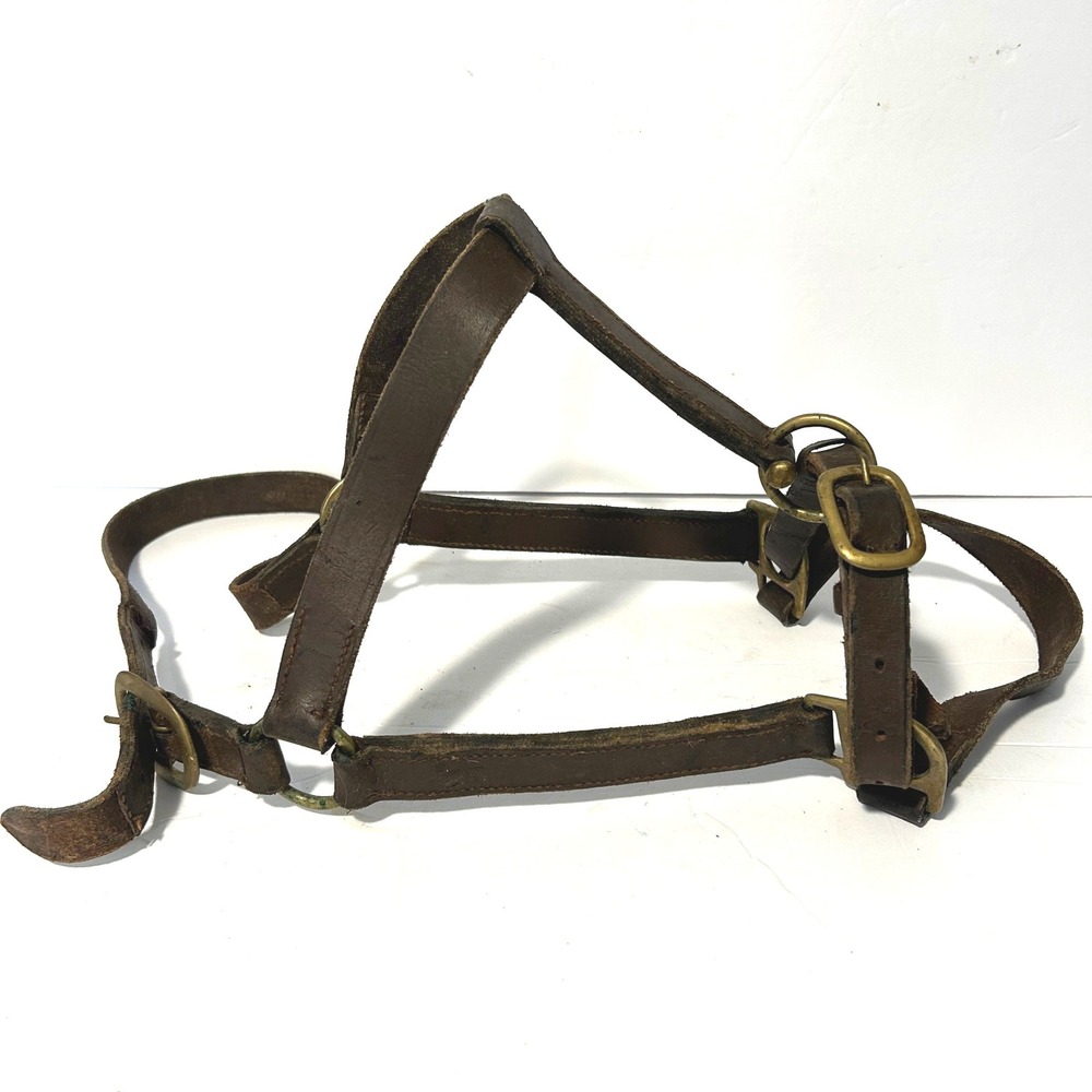 Vintage Leather Horse Halter Equestrian Tack Brown Brass Hardware Western Ranch